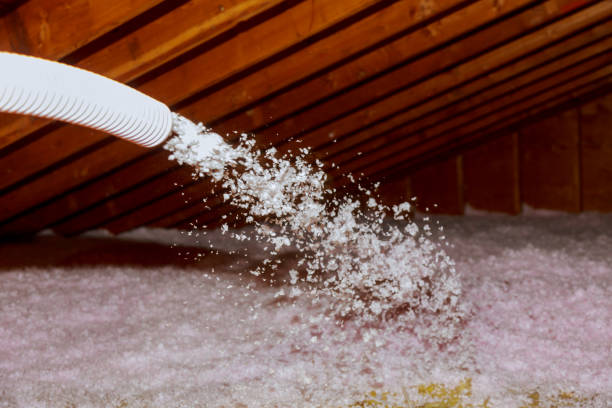 Best Geographic-Specific Insulation Services in Briggs, OK
