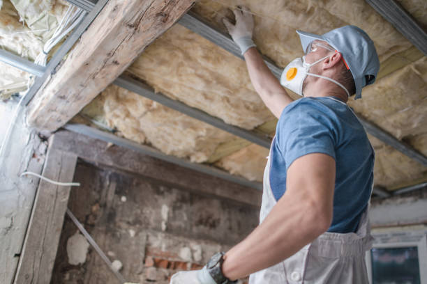 Types of Insulation We Offer in Briggs, OK